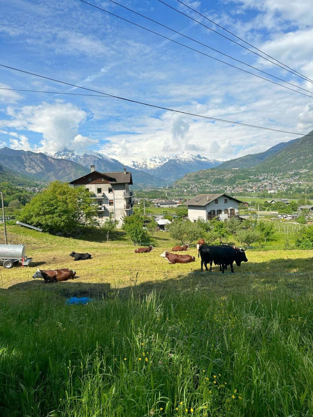 Maison Clair Vda Gressan N 0094 Aosta Habitación foto